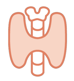 Icon for Tiroid Fonksiyonları